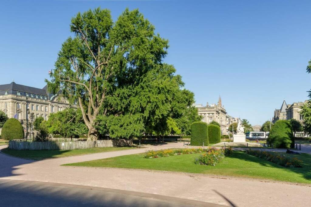 Magnifique Appartement Au Coeur De La Petite France Strasburg Zewnętrze zdjęcie